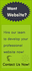 create professional website