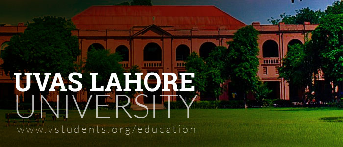 UVAS Lahore Admissions 2024